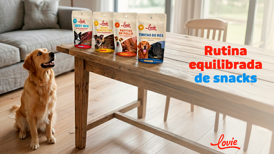 Cómo elegir snacks para tu perro en temporada de calor (sin afectar su salud)