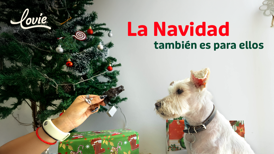 Cómo incluir a tu perro en las celebraciones de Navidad y Año Nuevo (sin estrés ni comida peligrosa)