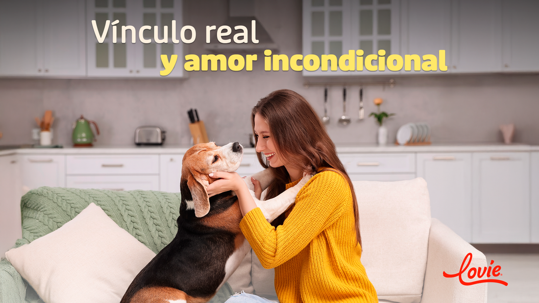 San Valentín con tu perro: formas reales de demostrarle amor